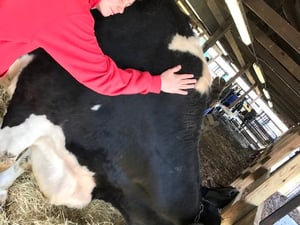 Ag Day Cow Hugging